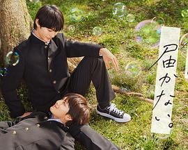 惠州seo优化加盟厂家